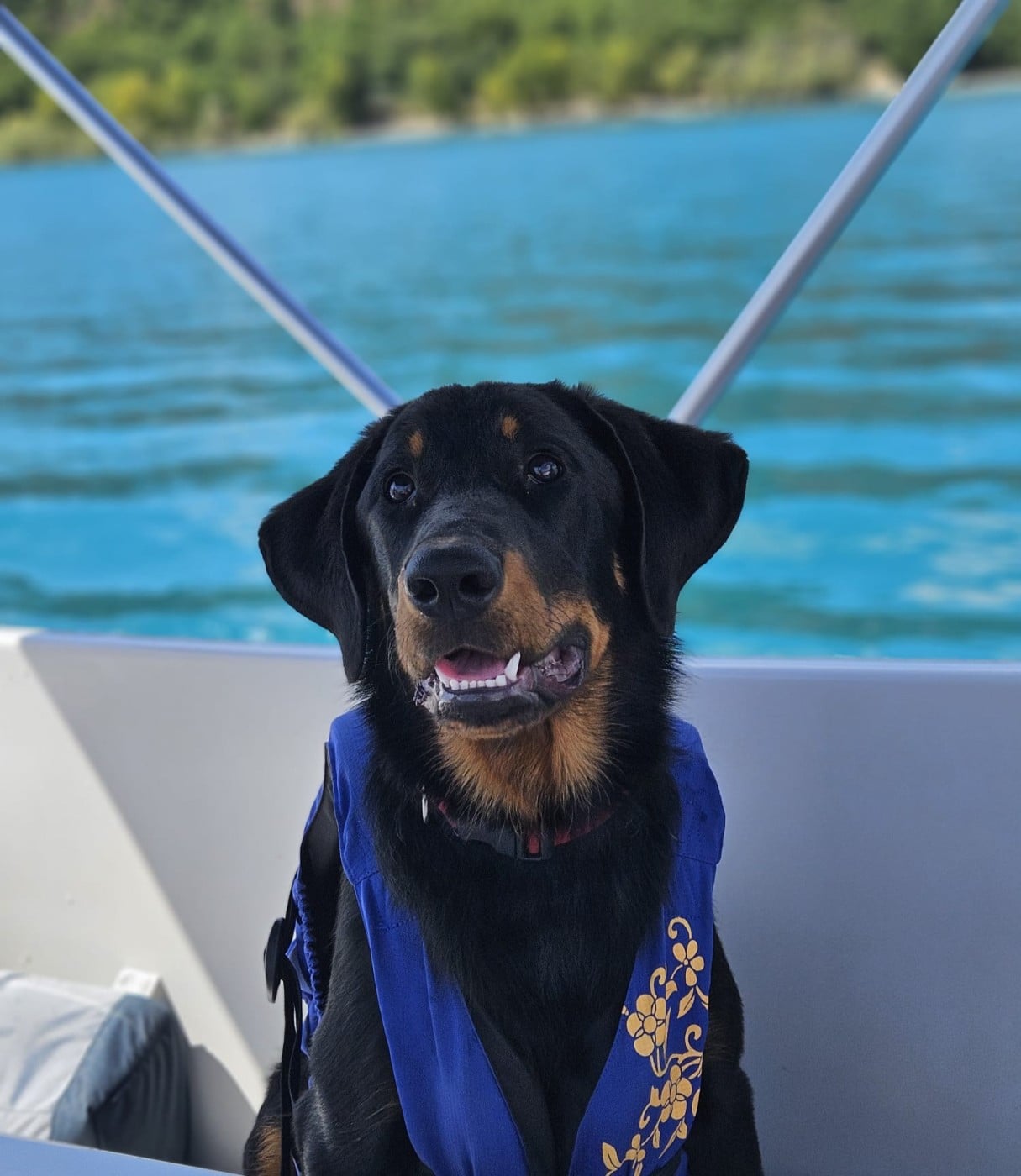 Apéroooooo de la Noé d'Orient