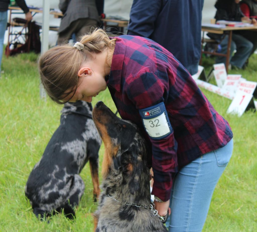 Vermicelle cendrée de la Noé d'Orient