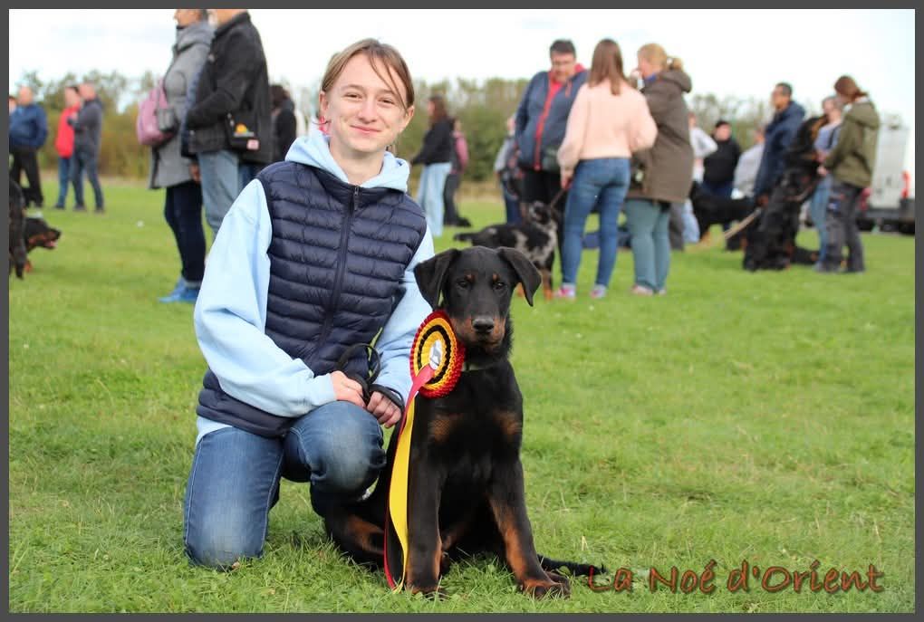 Vvinnie l'ourson de la Noé d'Orient