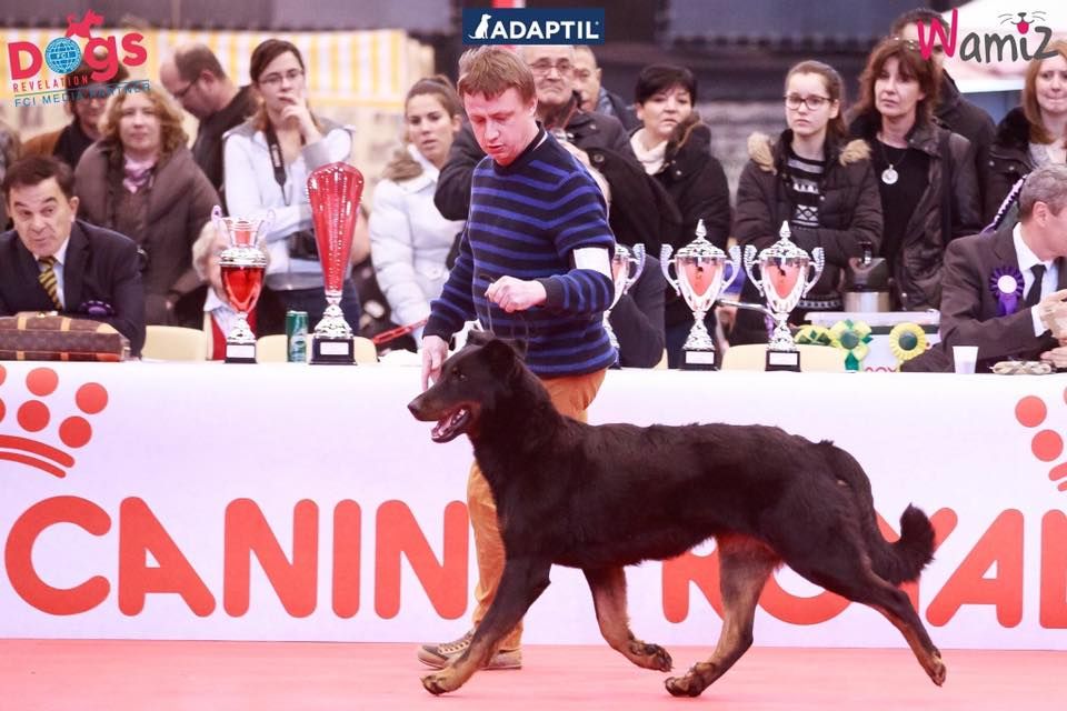 Publication : de la Noé d'Orient Auteur : La Noé d'Orient