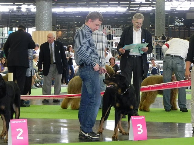 CH. Elliot de la Noé d'Orient - 3ème EXC