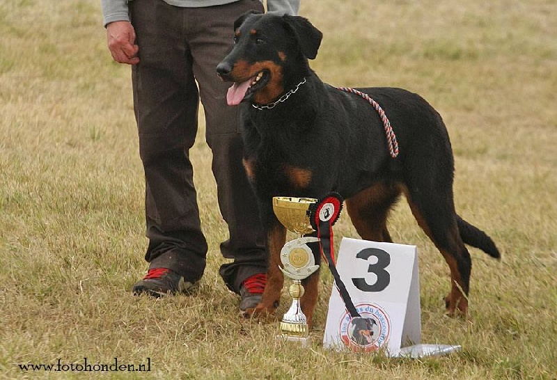 CH. Hisme leny blackgorge - 3eme MEILLEURE FEMELLE