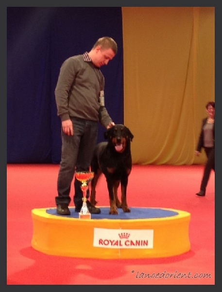 CH. Hisme leny blackgorge - 1ere EXC CACIB & MEILLEUR DE RACE & 3eme du 1er GROUPE !!