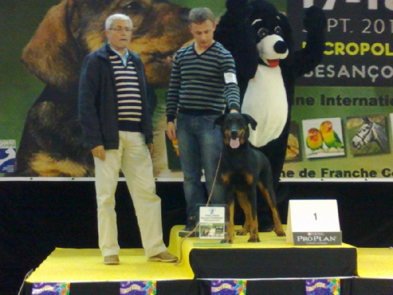CH. Hisme leny blackgorge - 1ere EXC CACS / CACIB / MEILLEUR de RACE