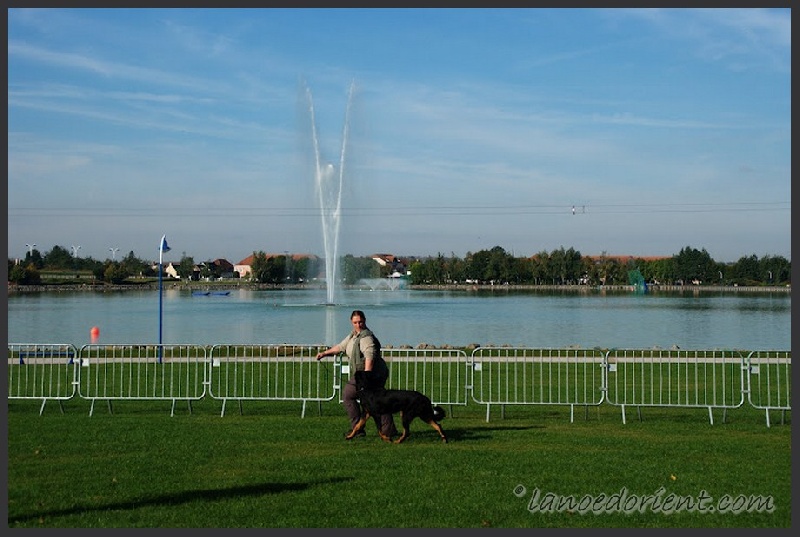 CH. Gauloise de la Noé d'Orient - TP + CANT