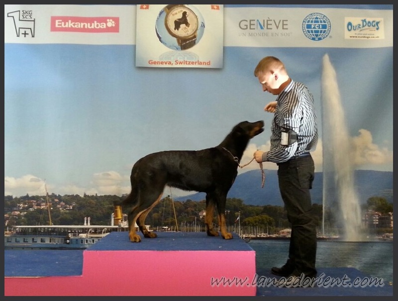 CH. Hisme leny blackgorge - 1ere EXC CACS / CACIB & MEILLEUR de RACE