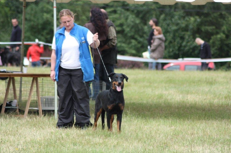 CH. Hisme leny blackgorge - EXC+ coation 4