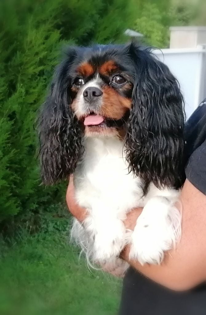 R'mione D'Ez Mortes Terres