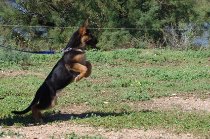 Publication : Du mazet des salins