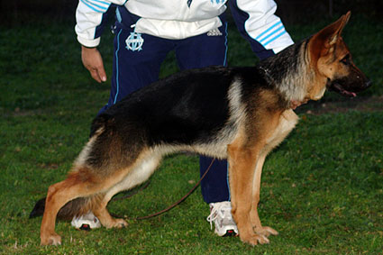 Publication : Du mazet des salins