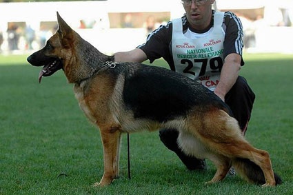 Vicky De la vallée de cuxa - 8 ème TRES PROMETTEUR