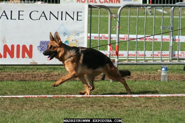 Vicky De la vallée de cuxa - 5 ème Trés Bon