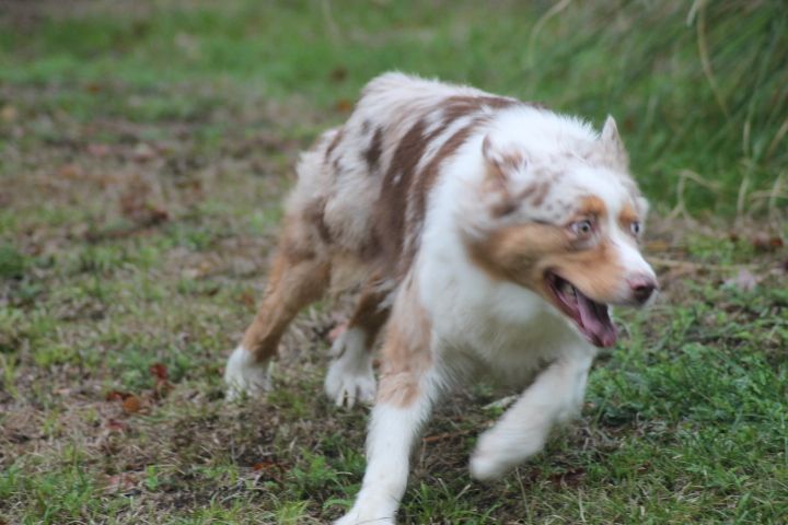 Publication : Du rivage des mille etangs Auteur : Christelle Sarrazin