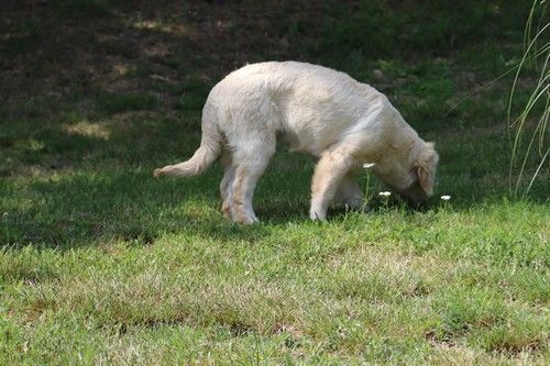 Publication : Du rivage des mille etangs Auteur : Christelle 06 juillet 2023