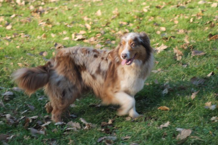 Publication : Du rivage des mille etangs