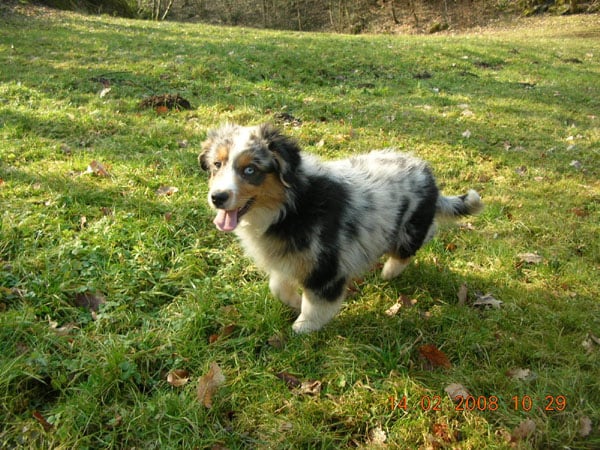 C'kiona Du rivage des mille etangs