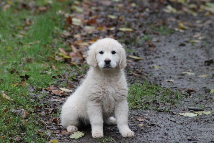 Publication : Du rivage des mille etangs Auteur : Christelle