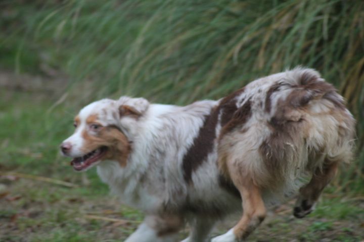 Publication : Du rivage des mille etangs Auteur : Christelle Sarrazin