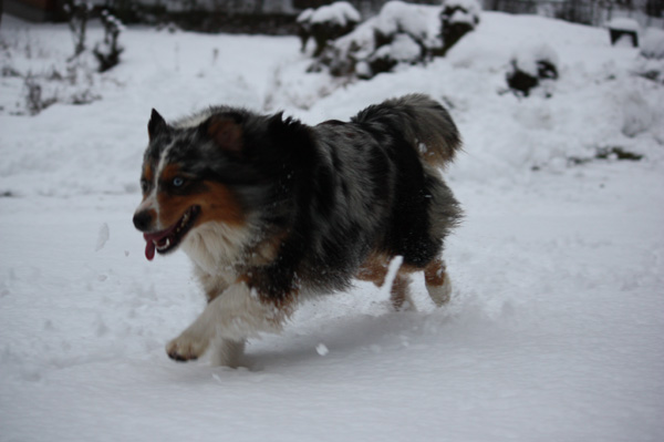 C'kiona Du rivage des mille etangs