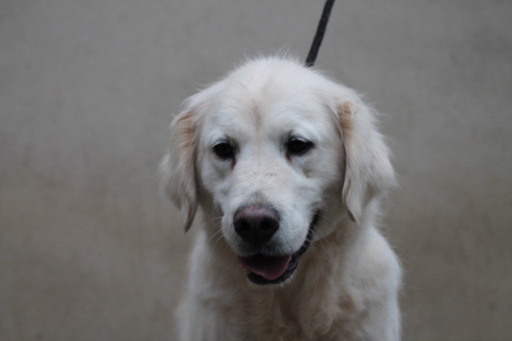 Publication : Du rivage des mille etangs Auteur : Christelle Sarrazin