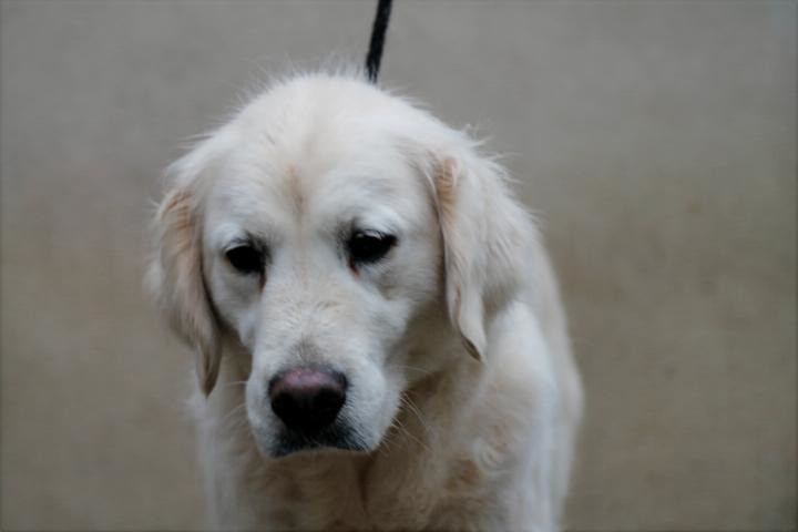 Publication : Du rivage des mille etangs Auteur : Christelle Sarrazin