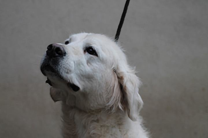 Publication : Du rivage des mille etangs Auteur : Christelle Sarrazin