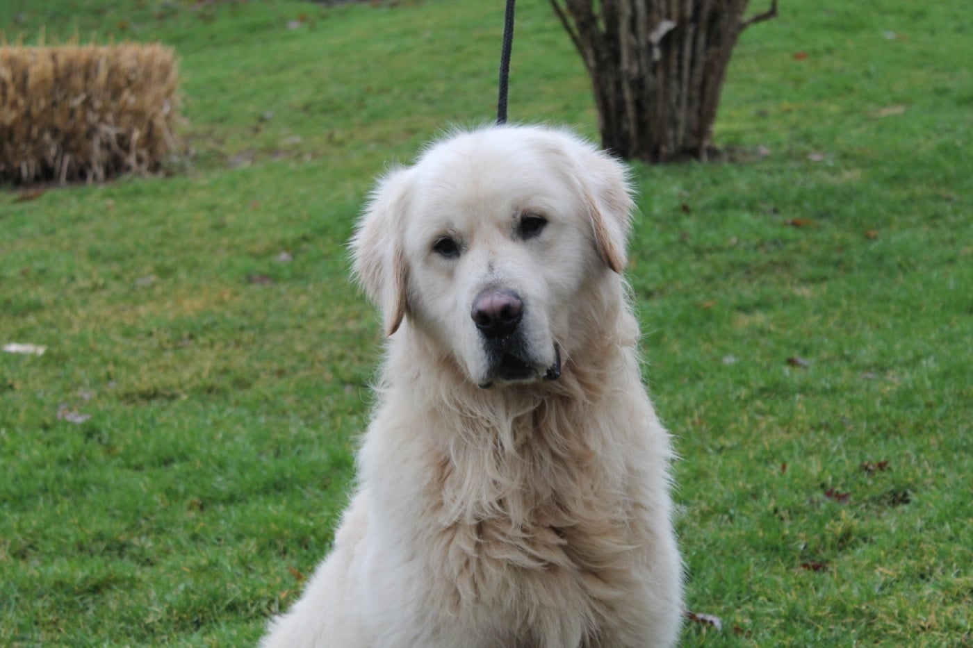 Urano De La Colline D'Eole