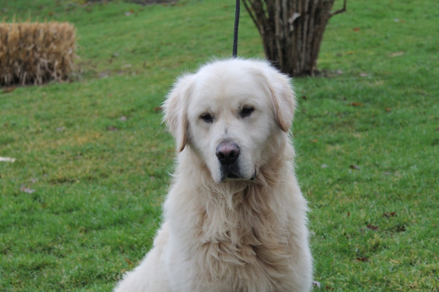 Urano De La Colline D'Eole