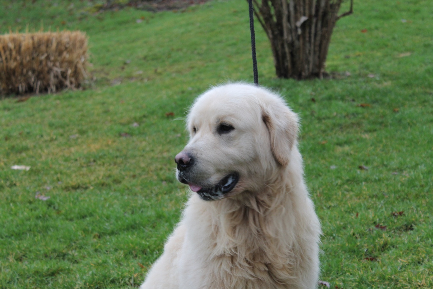 Urano De La Colline D'Eole