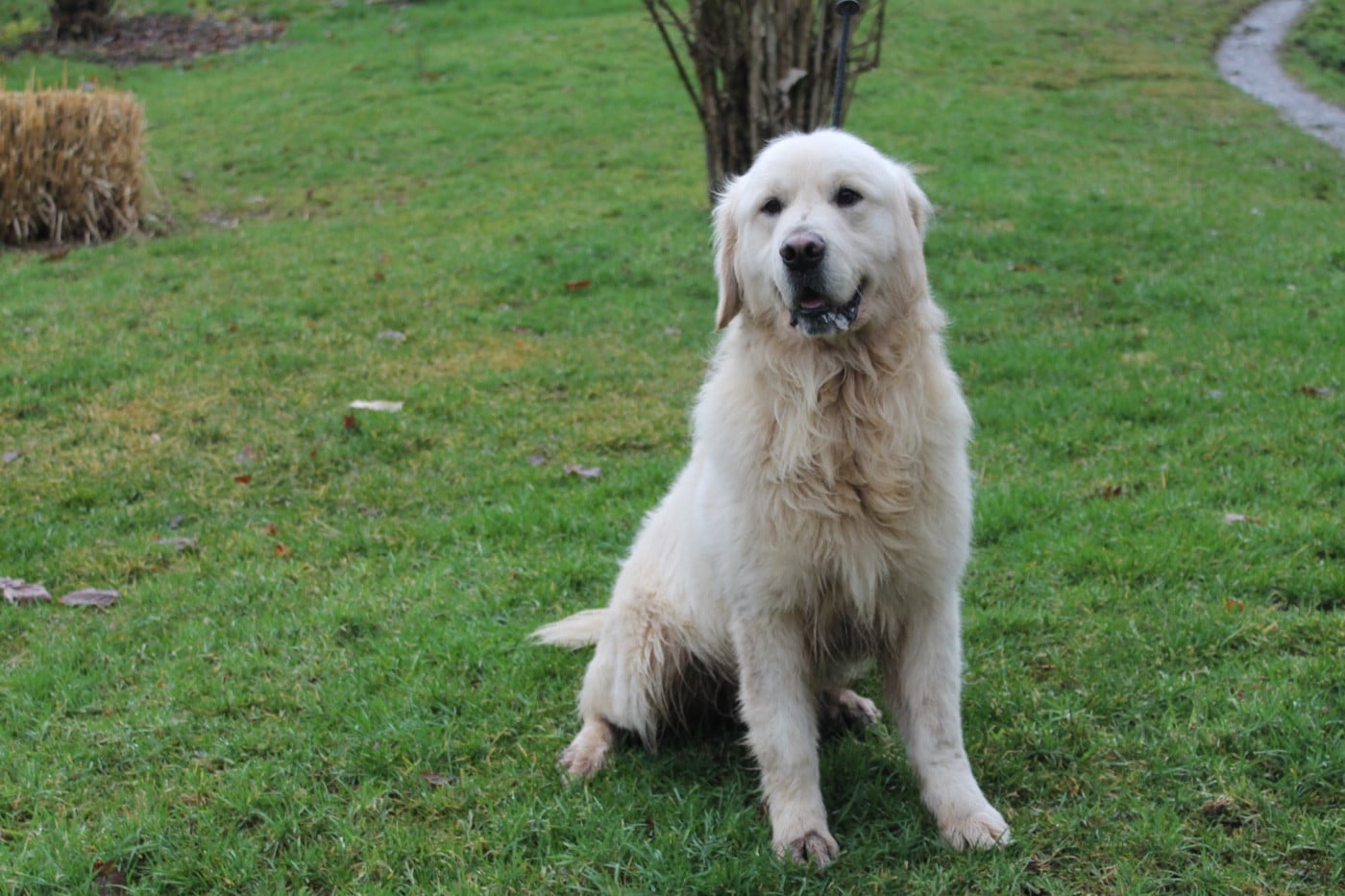 Urano De La Colline D'Eole