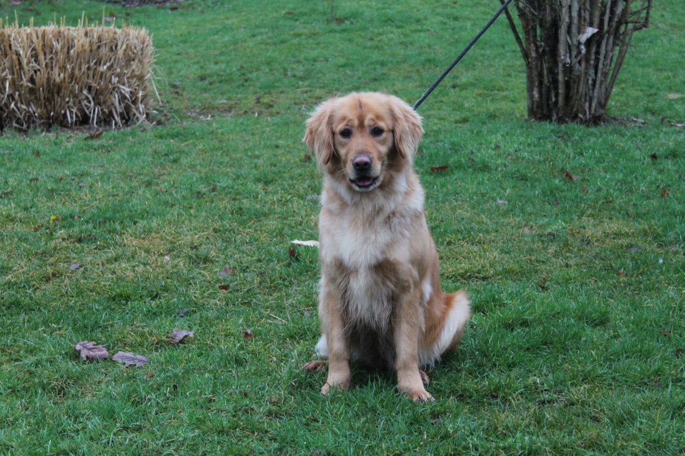Toblerone Du pré moussey