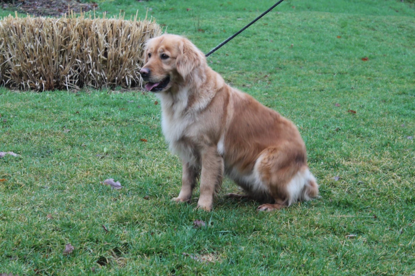 Toblerone Du pré moussey