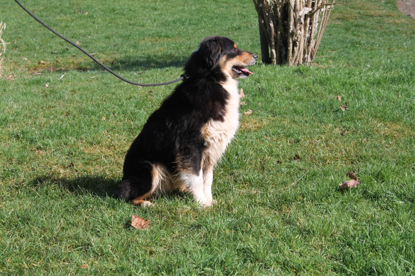 V' flash Du rivage des mille etangs