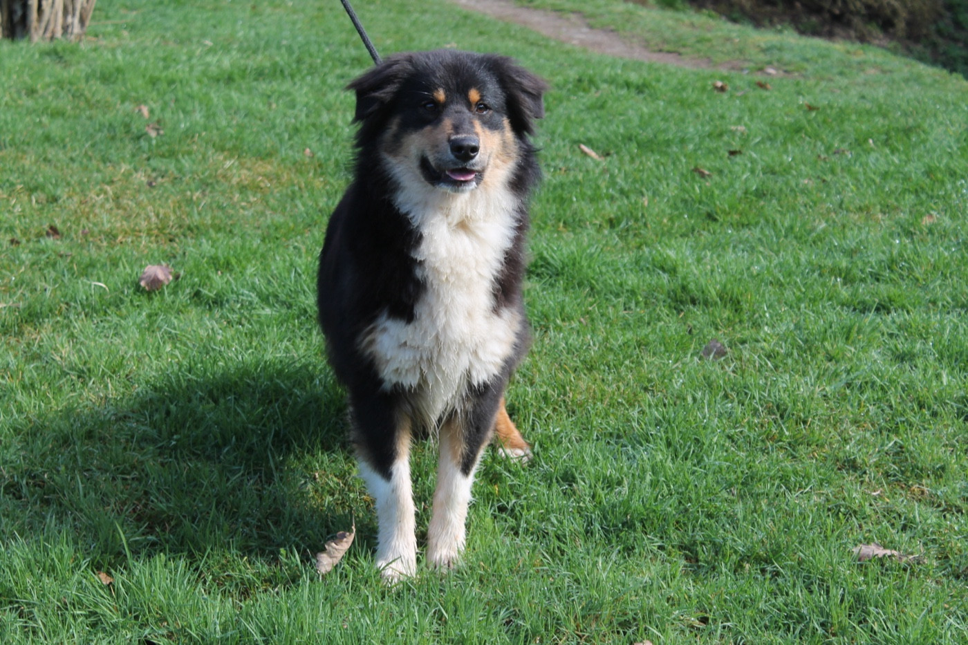 V' flash Du rivage des mille etangs