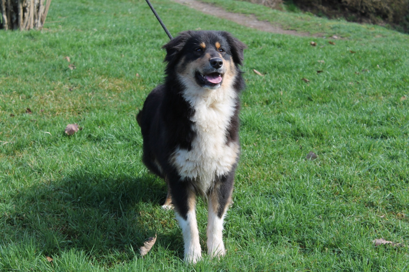 V' flash Du rivage des mille etangs