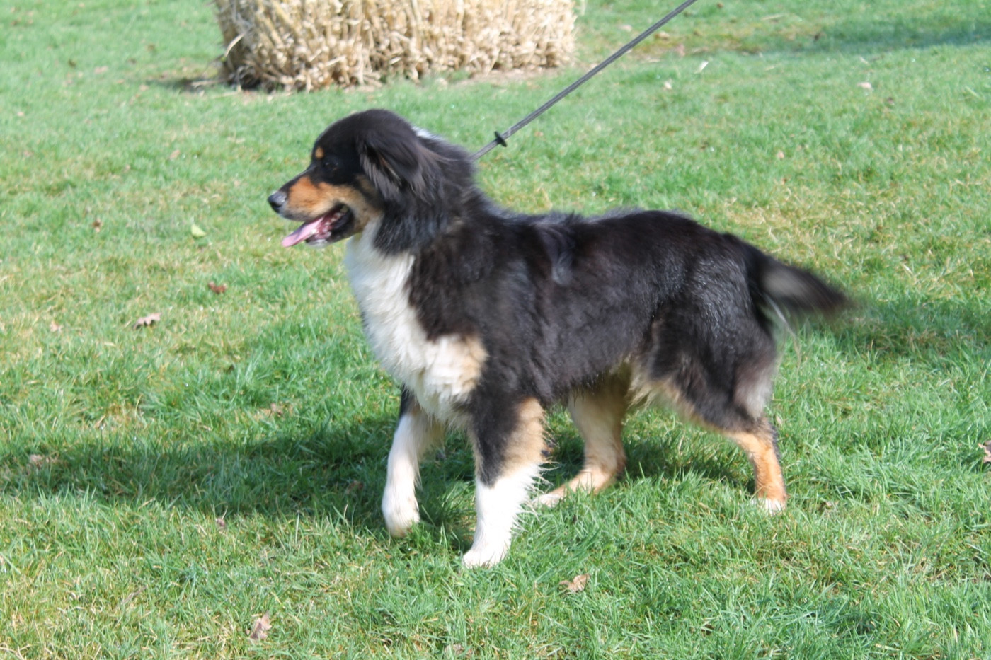 V' flash Du rivage des mille etangs