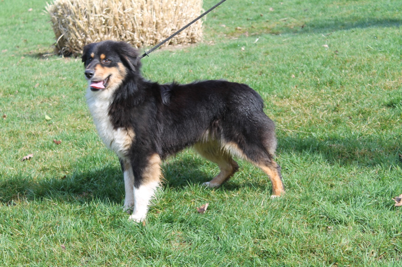 V' flash Du rivage des mille etangs