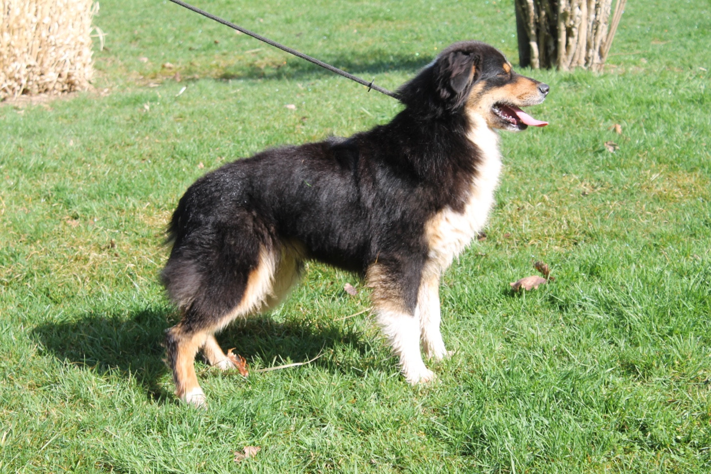 V' flash Du rivage des mille etangs