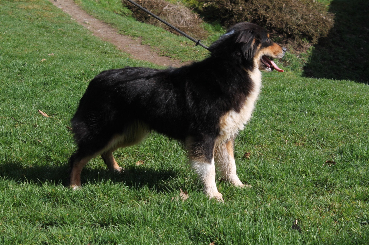 V' flash Du rivage des mille etangs