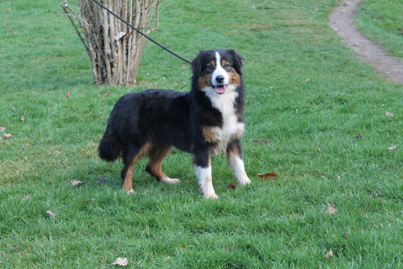 Sunny Du rivage des mille etangs