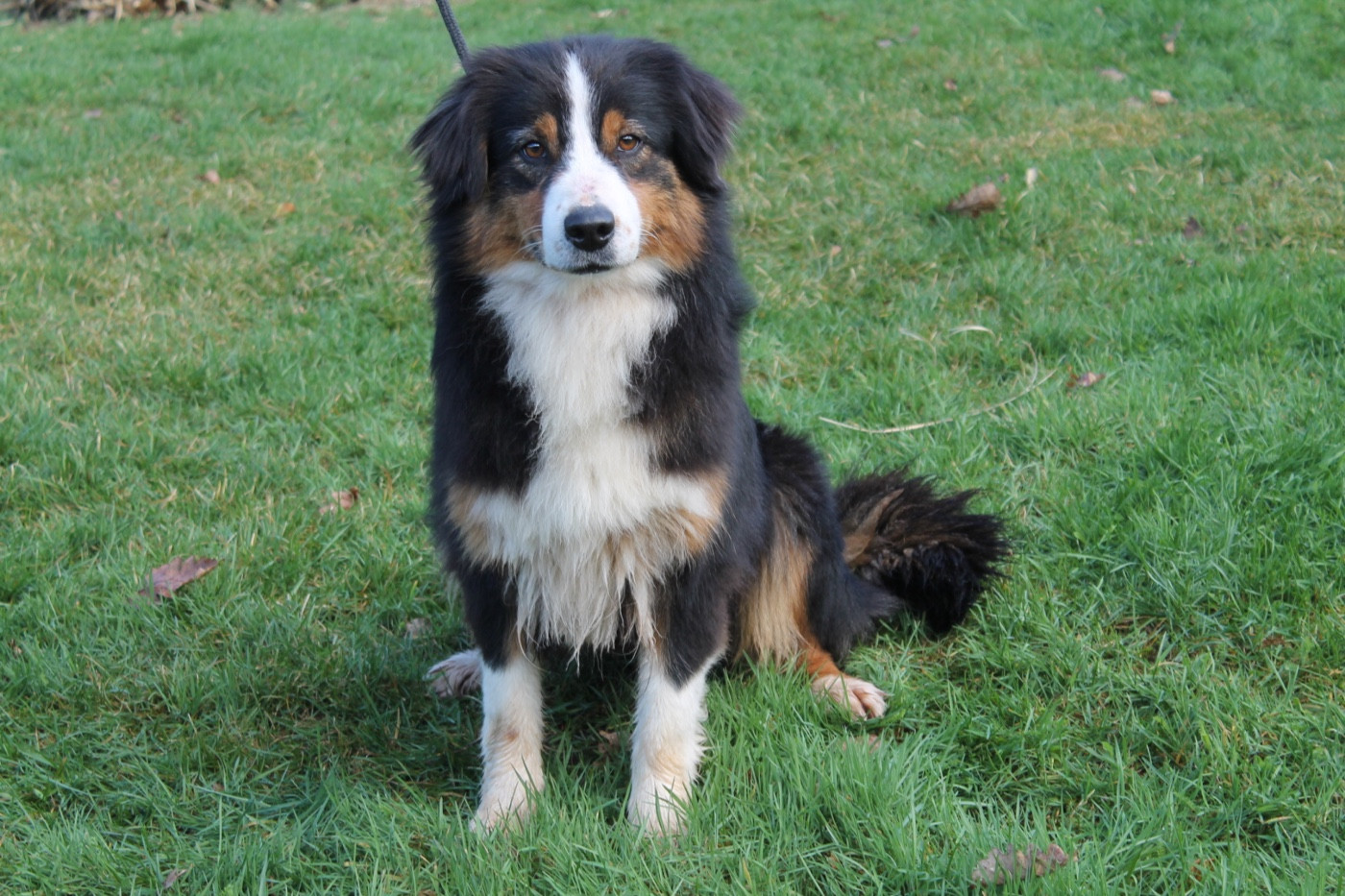 Sunny Du rivage des mille etangs