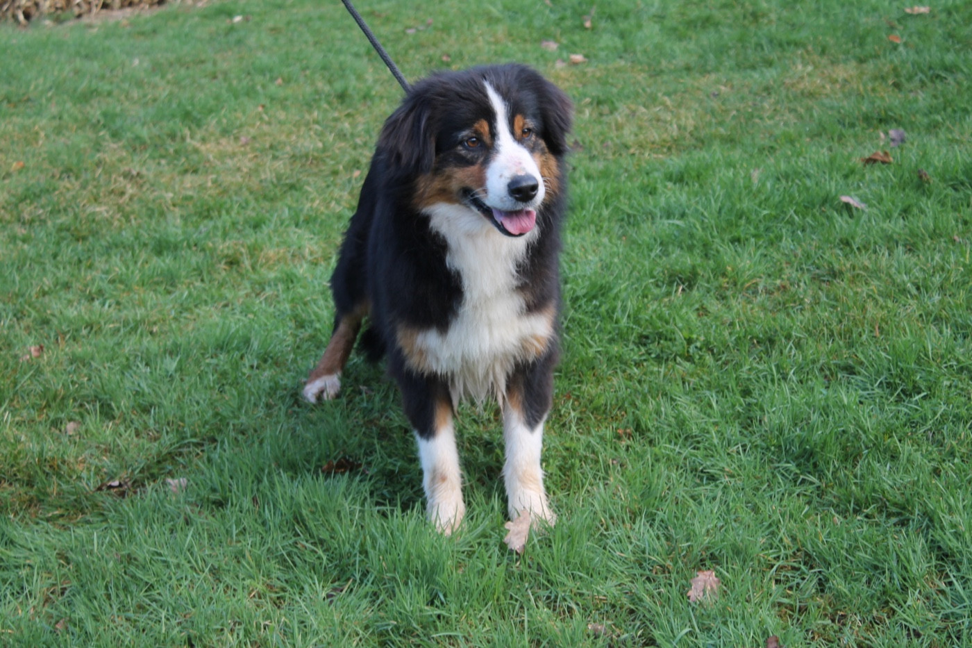 Sunny Du rivage des mille etangs