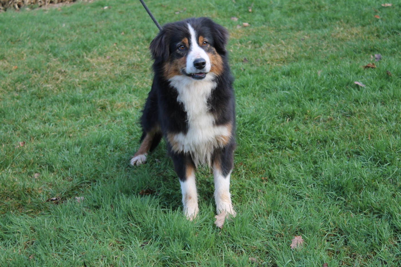 Sunny Du rivage des mille etangs