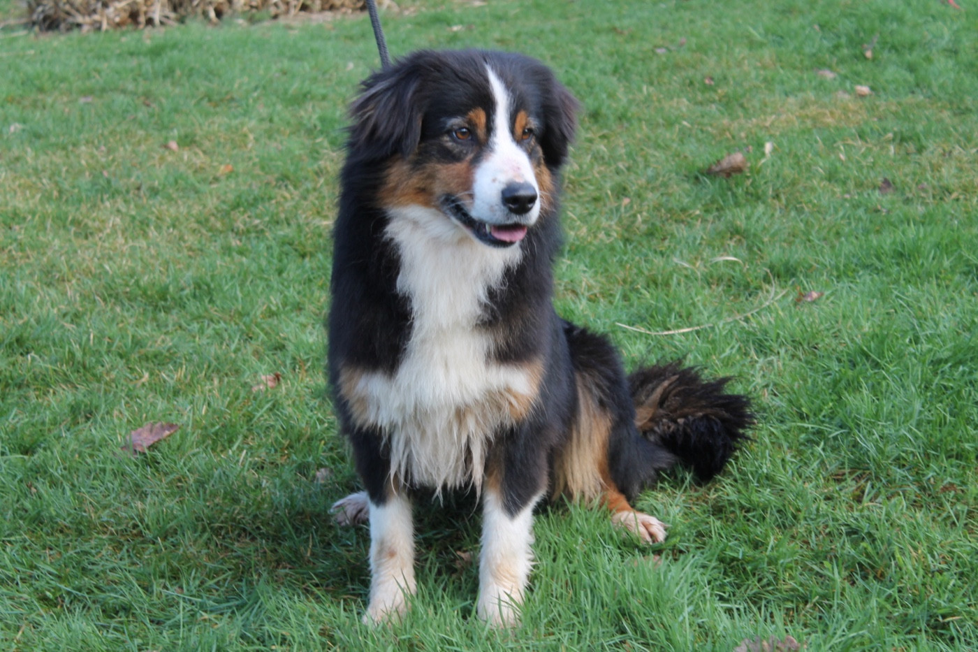 Sunny Du rivage des mille etangs