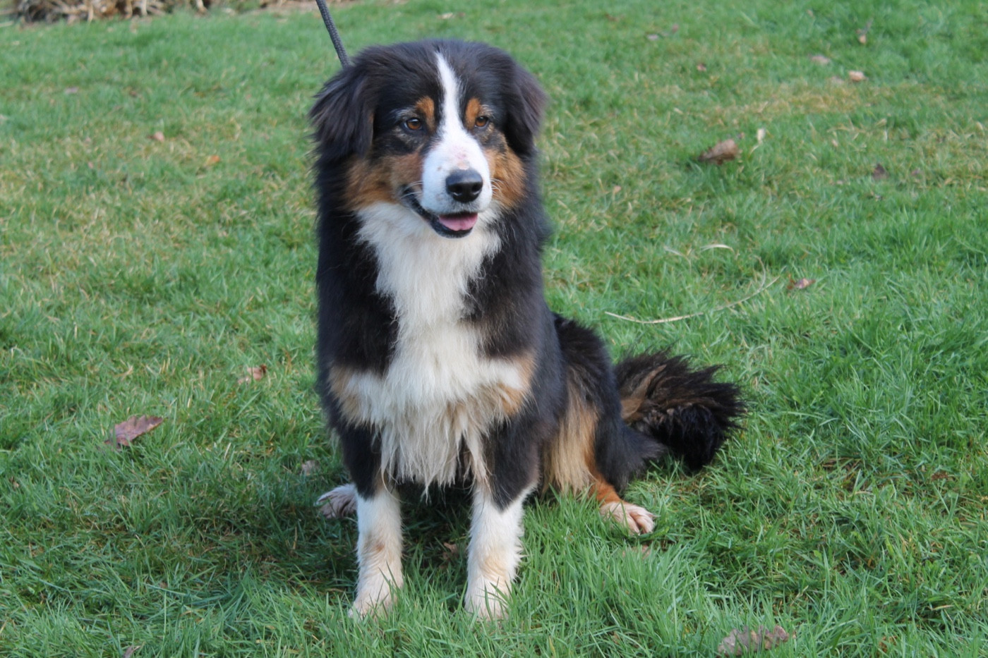 Sunny Du rivage des mille etangs