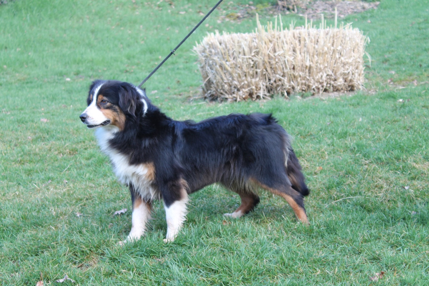 Sunny Du rivage des mille etangs