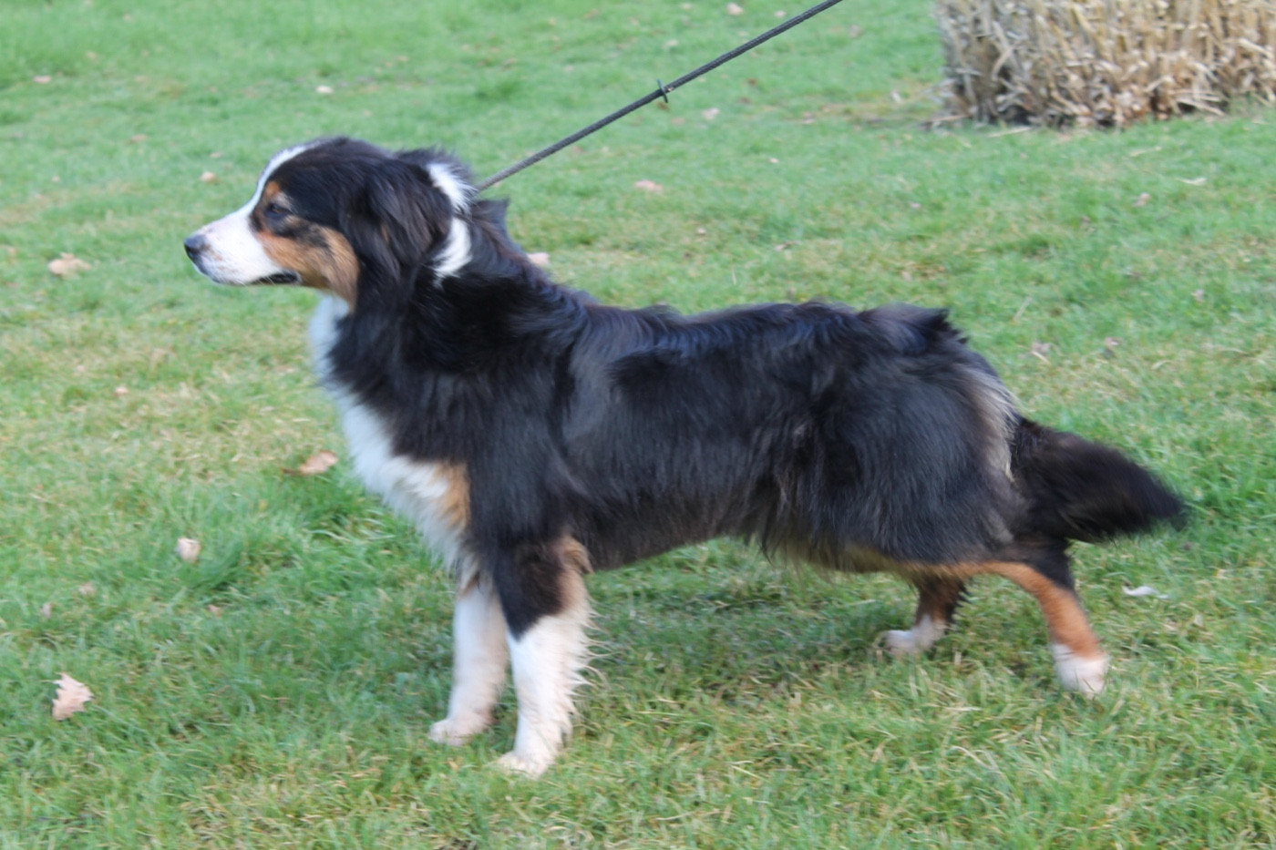 Sunny Du rivage des mille etangs