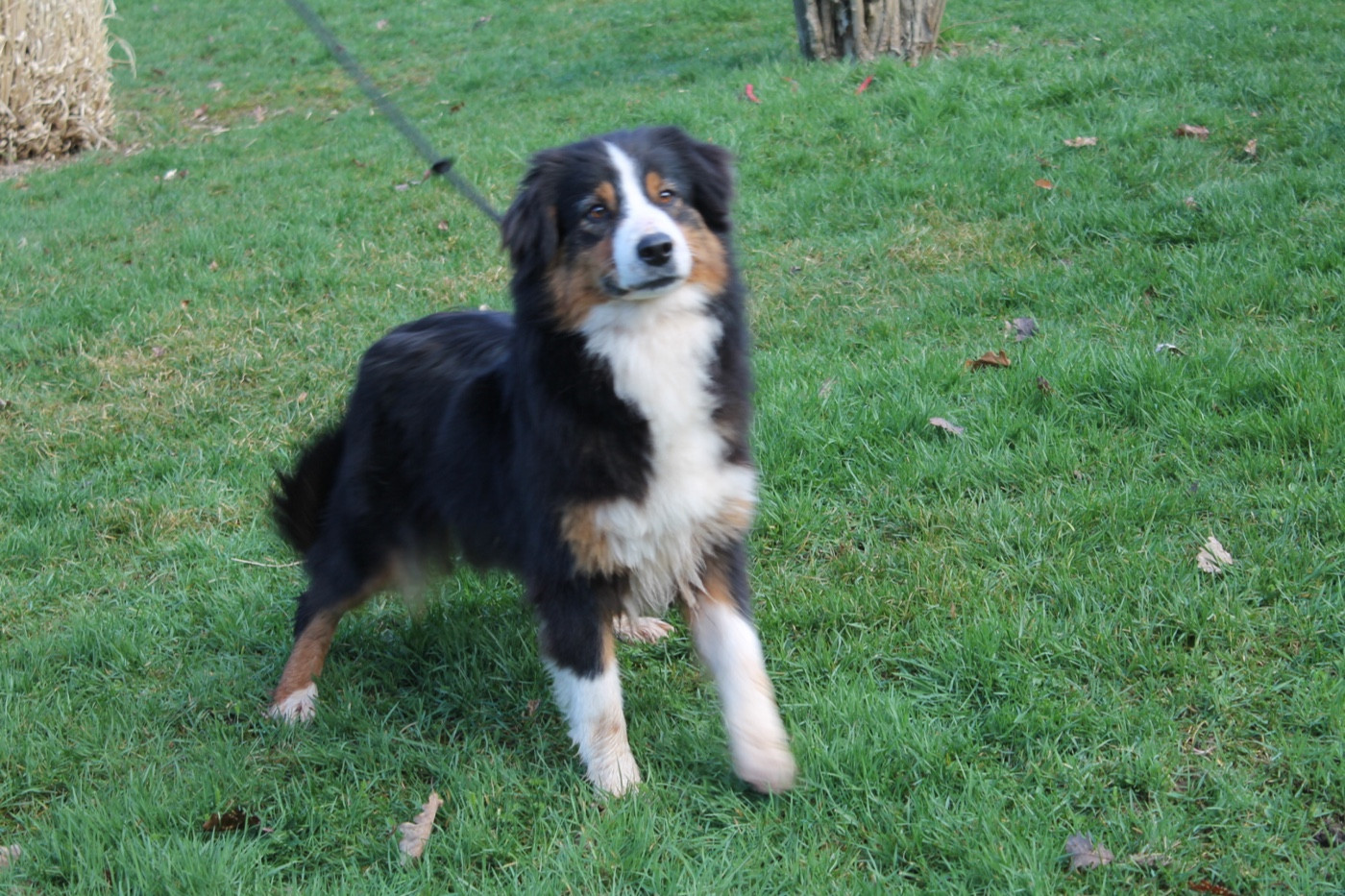 Sunny Du rivage des mille etangs