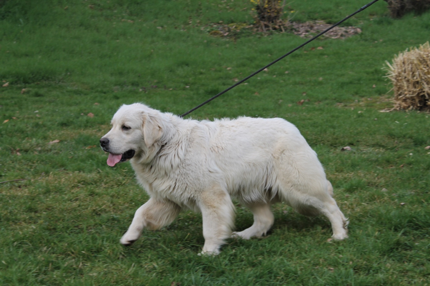 Publication : Du rivage des mille etangs