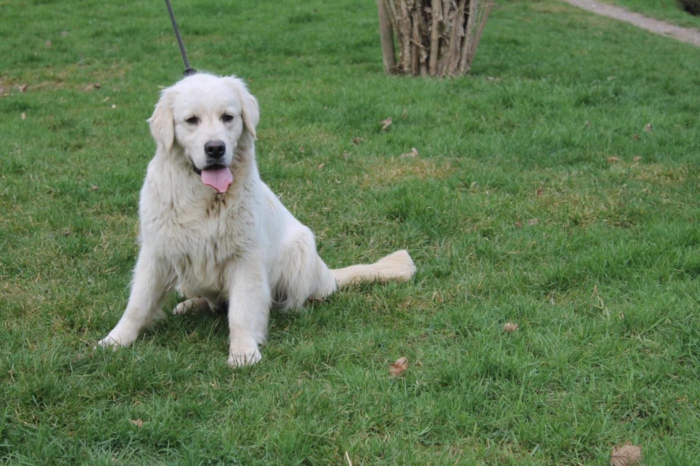 Publication : Du rivage des mille etangs